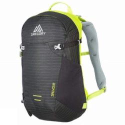 Gregory Salvo 18 Rucksack Black/Macaw Green